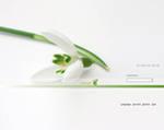 crack  autocad 2010 BY PARADOX